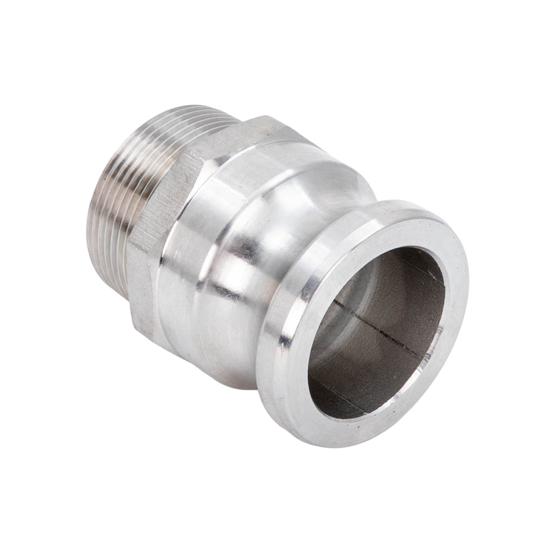 SS Camlock Male BSP x Plug - F