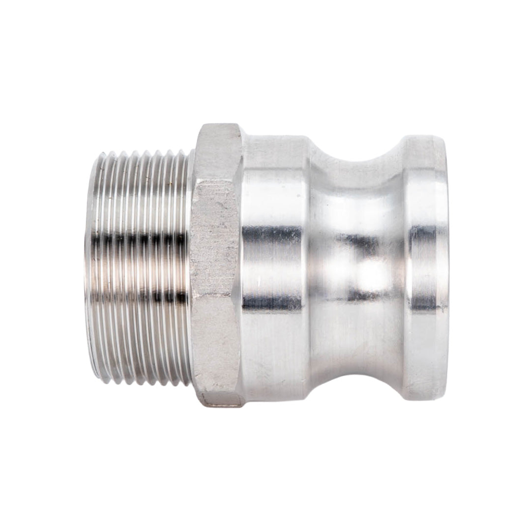 Stainless Camlock Male BSP x Plug - F