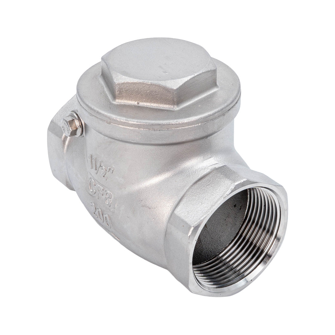 Stainless Steel Swing Check