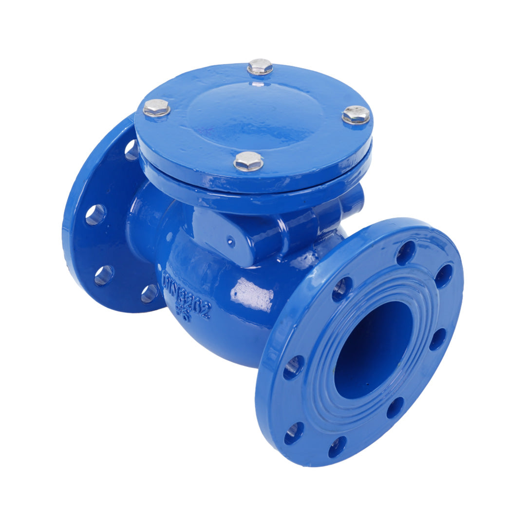 Cast Iron Swing Check Valve PN16
