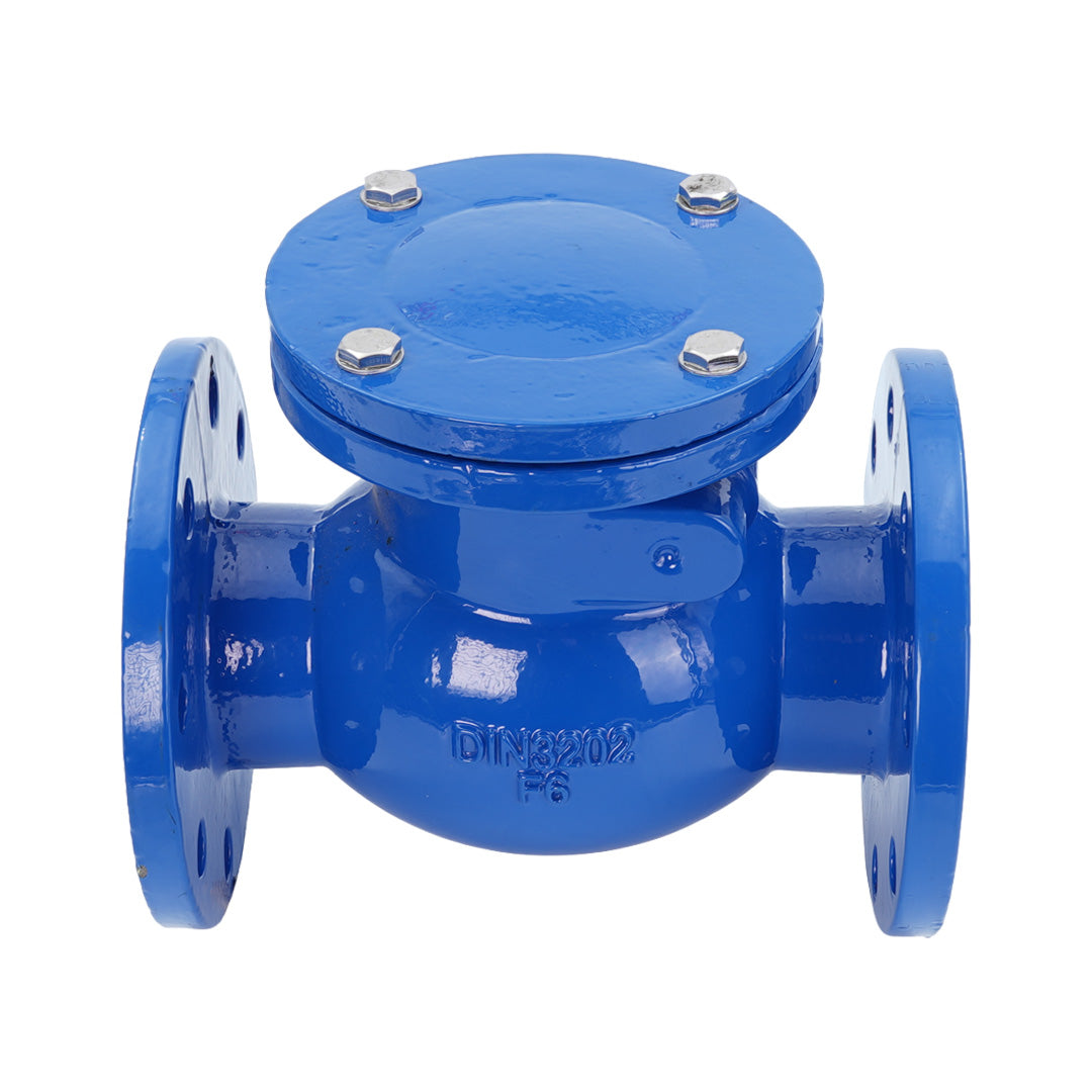 Cast Iron Swing Check Valve