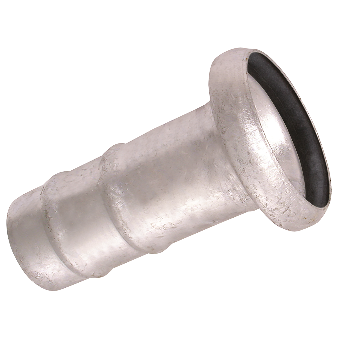 Female Bauer x Hose Tail