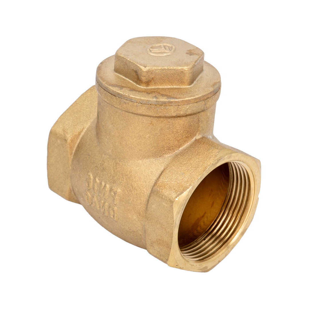 Brass check valve on a white background