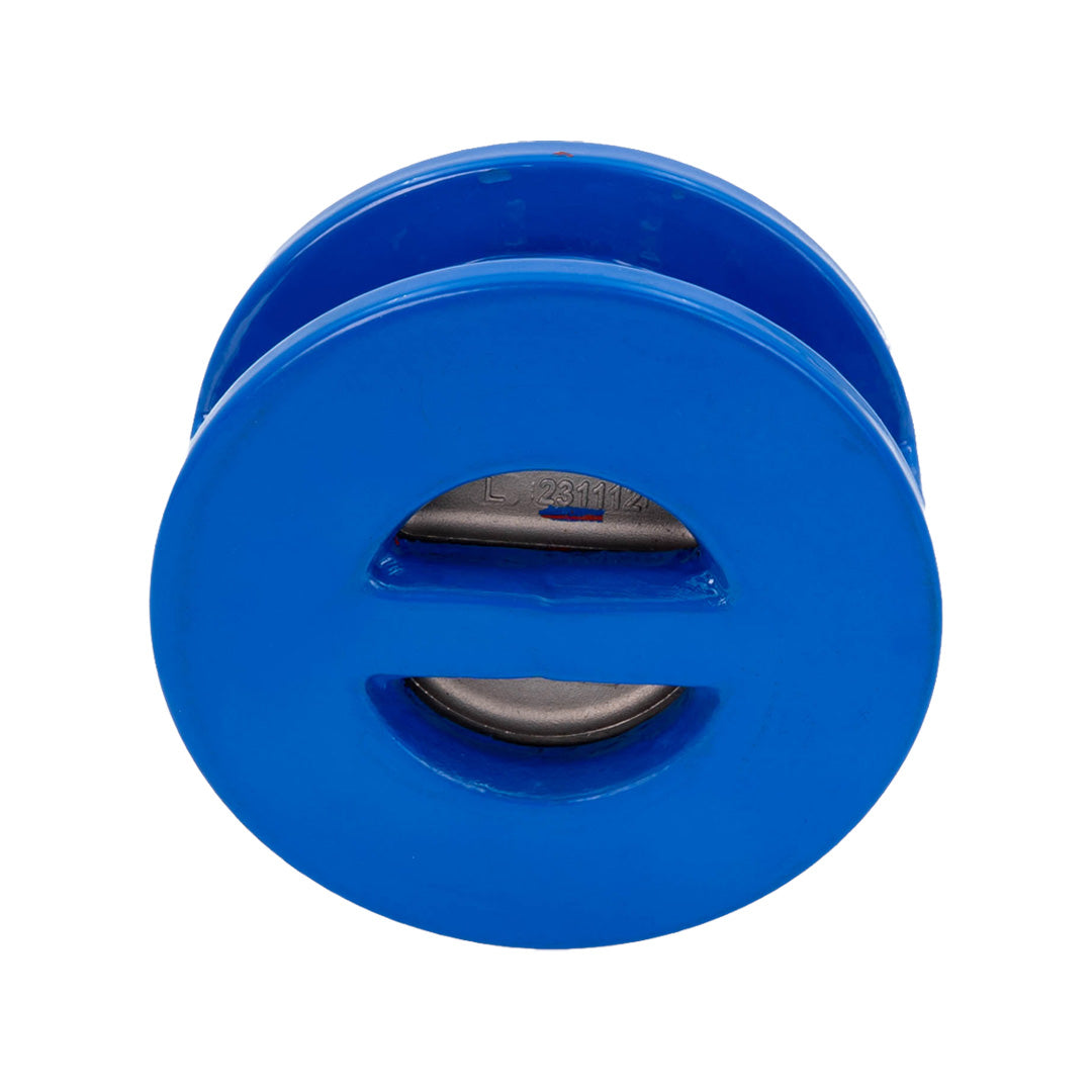 Dual Plate Check Valve