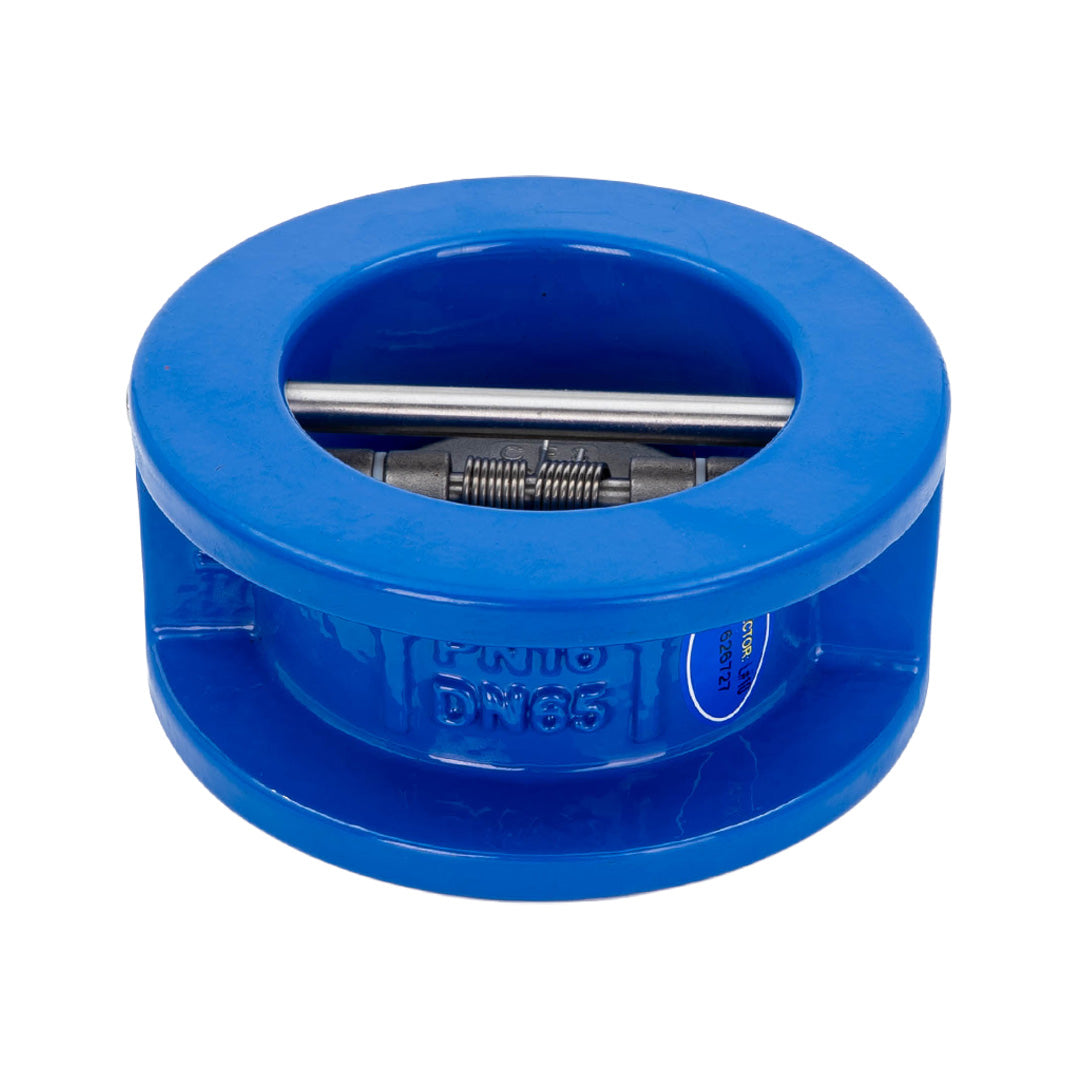 Dual Plate Check Valve