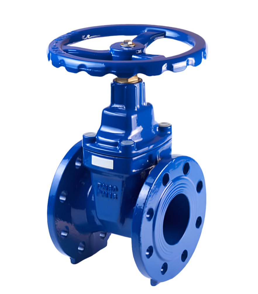 Cast Iron Gate Valve PN16