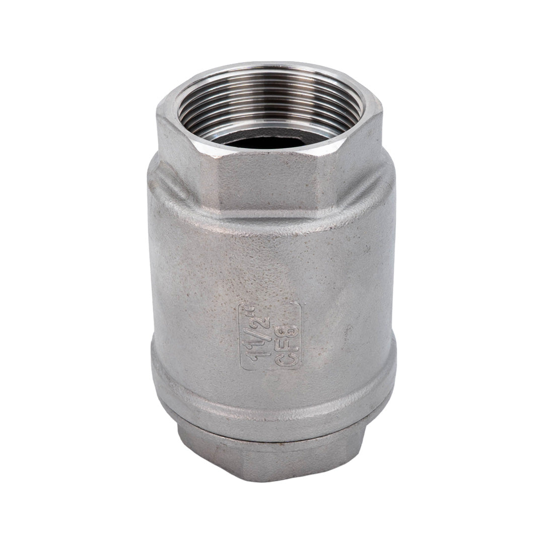 Stainless Steel Spring Check Valve