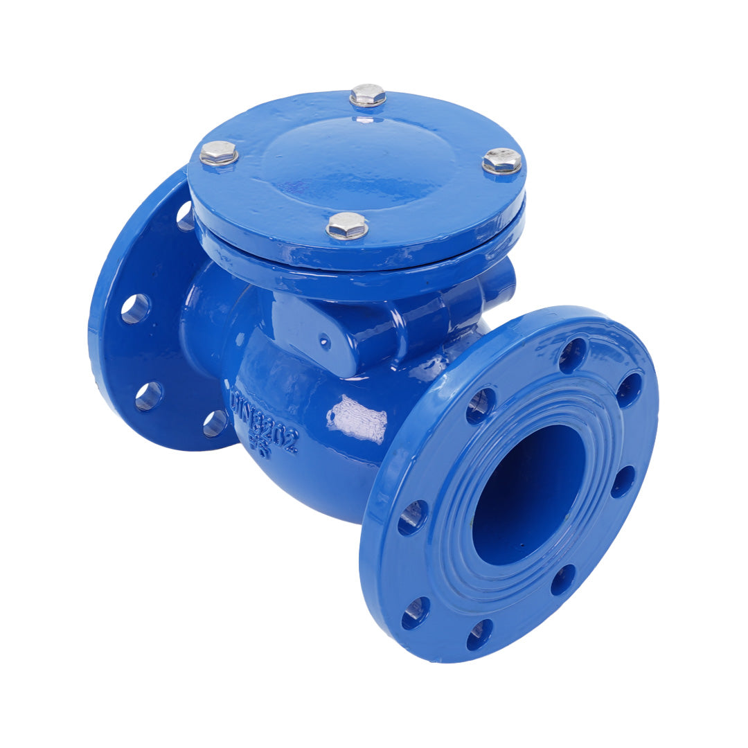 Cast Iron Swing Check Valve PN16 | T-mex Express