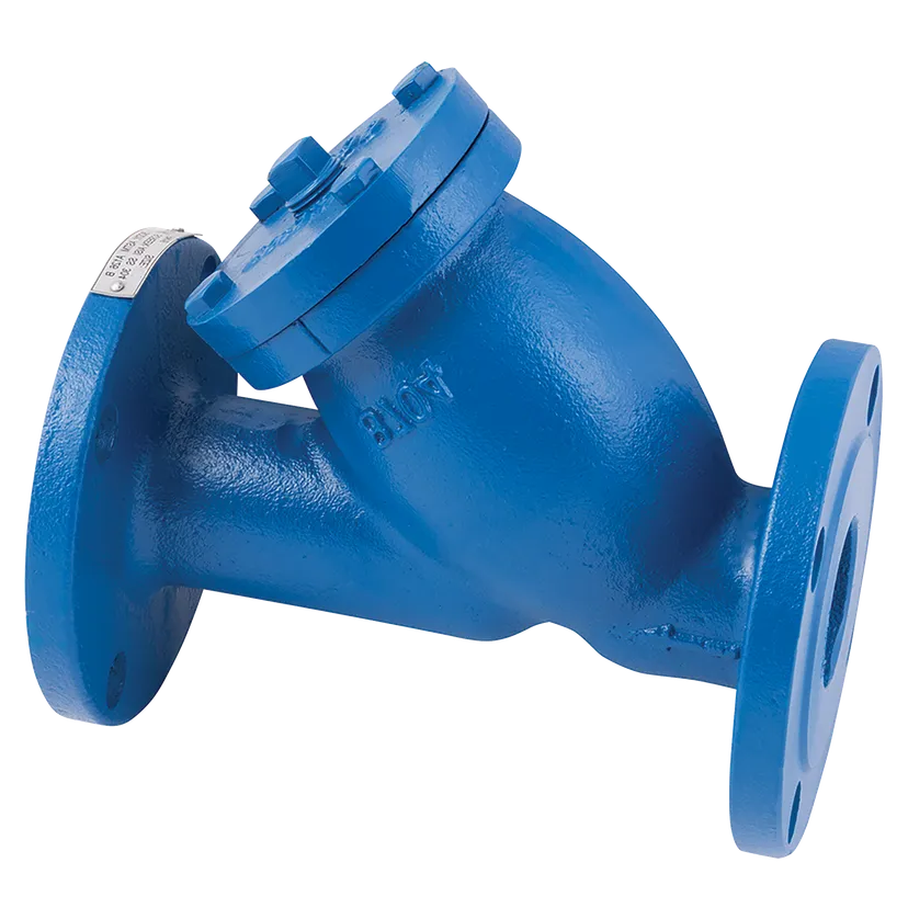 Cast Iron Flanged Y Strainer PN16