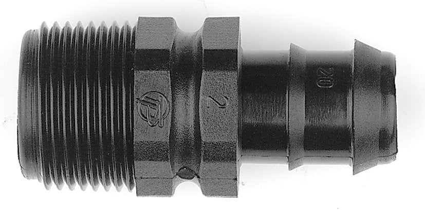 Tavlit Male Hosetail
