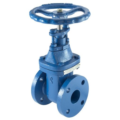 Cast Iron Gate Valve